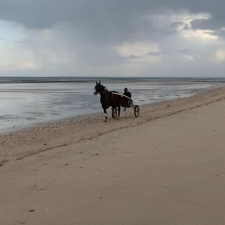 Maisonnette Le Cottage A 50M De La Plage D'Asnelles , 3Km D'Arromanches, 10Km De Bayeux エクステリア 写真