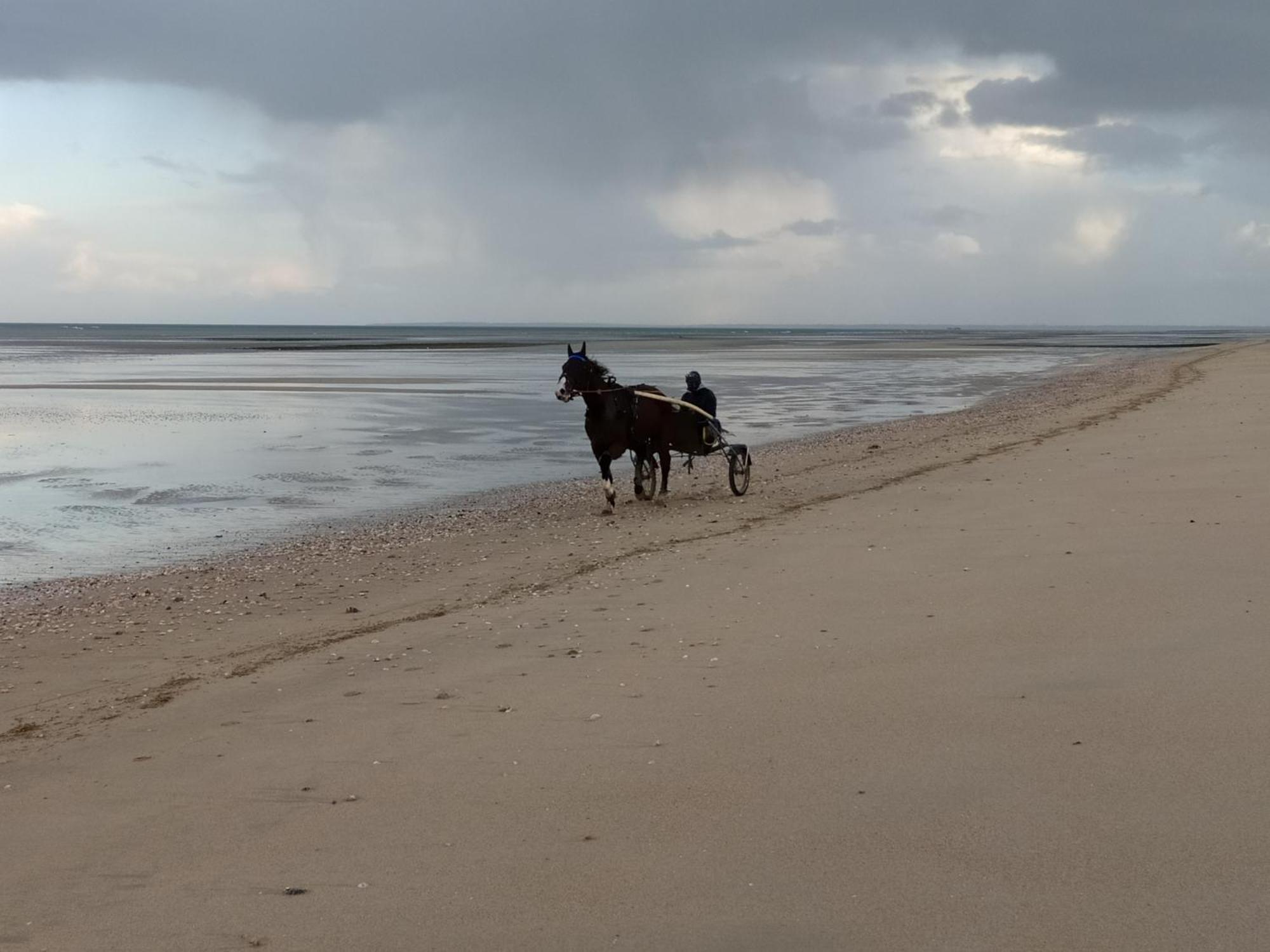 Maisonnette Le Cottage A 50M De La Plage D'Asnelles , 3Km D'Arromanches, 10Km De Bayeux エクステリア 写真